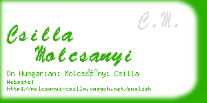 csilla molcsanyi business card